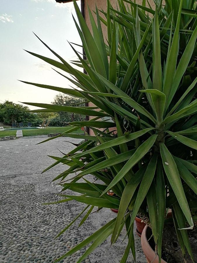 B&B Ronco Degli Ulivi Iseo Zewnętrze zdjęcie