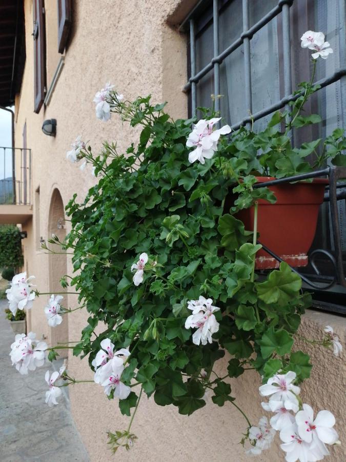 B&B Ronco Degli Ulivi Iseo Zewnętrze zdjęcie