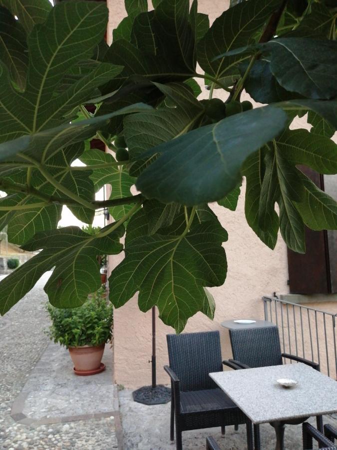 B&B Ronco Degli Ulivi Iseo Zewnętrze zdjęcie